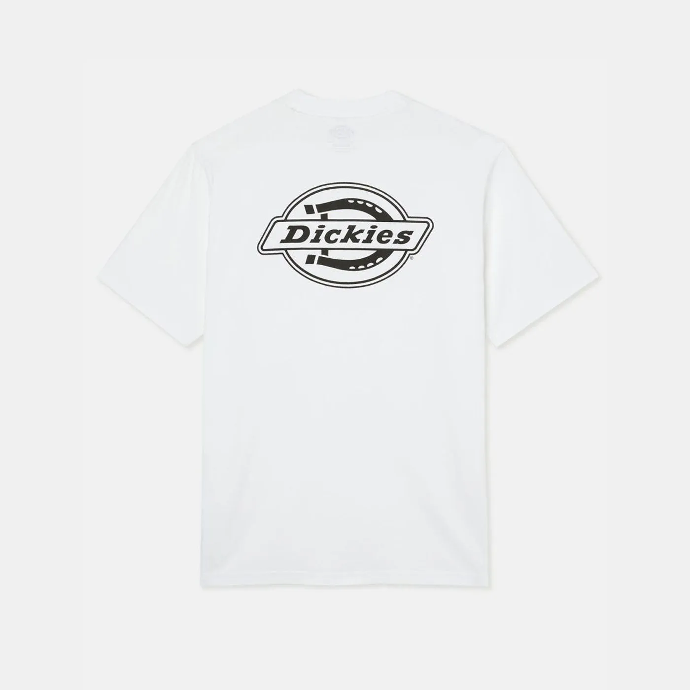 Dickies T-Shirt Holtville  White