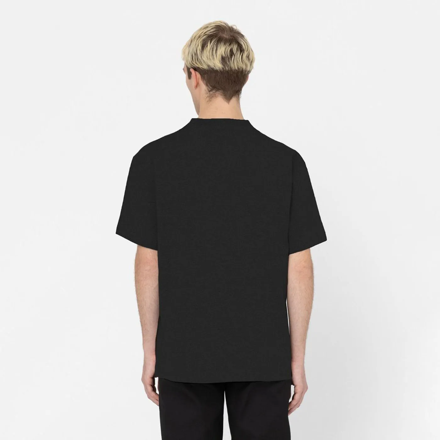 Dickies T-Shirt Porterdale Black